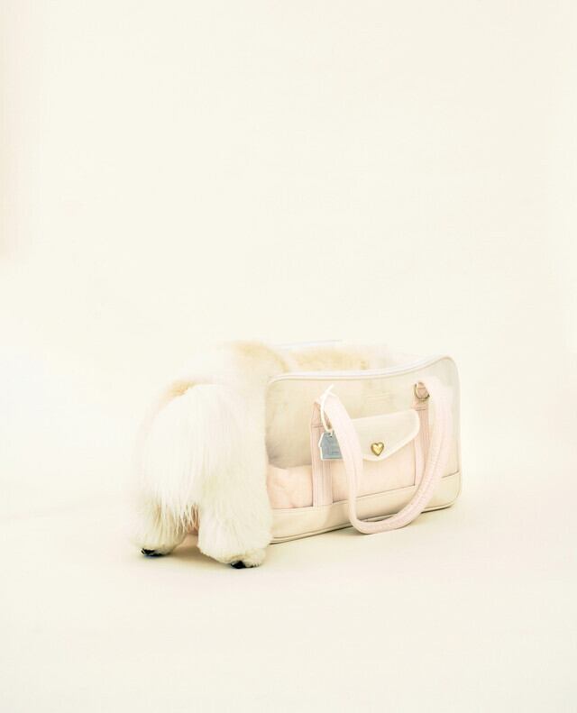 seoru】Mesh Ballon Bag（silver&blue） | ropet