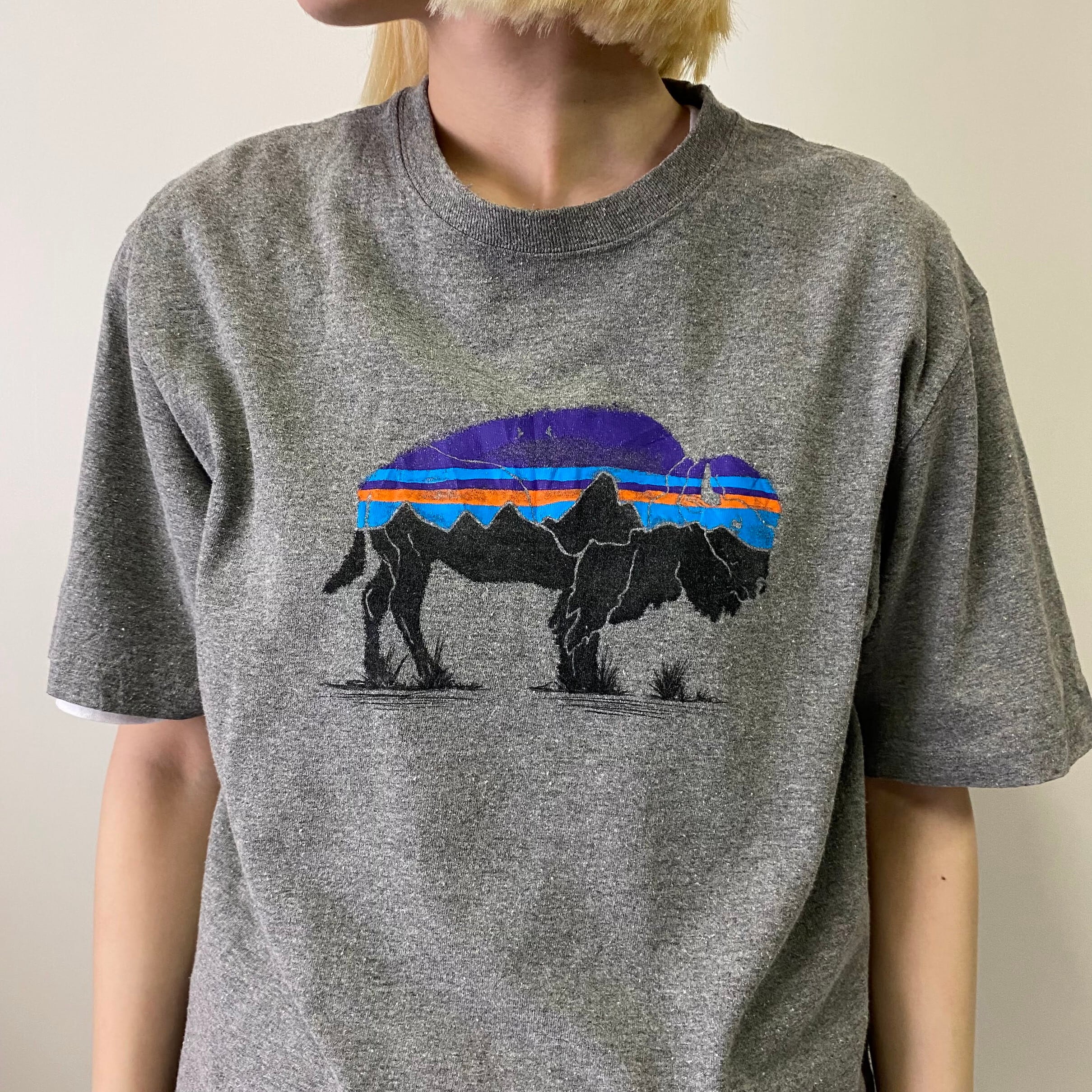 90s パタゴニア イグアナ Tシャツ USA製 00s ファッション 90s パタゴニア イグアナ Tシャツ USA製