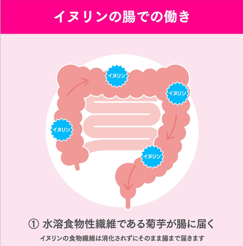 菊芋の極み〈通常〉3袋セット(2ヶ月分)