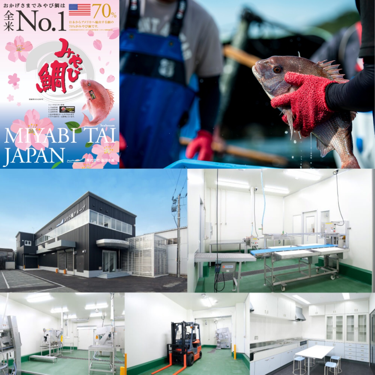 みやび鯛【鯛めしの素 3P】