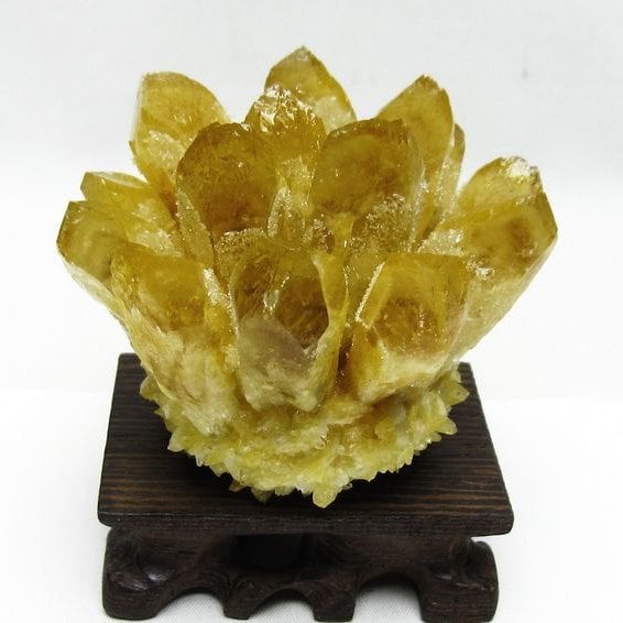 シトリン クラスター シトリンクォーツ 原石 台座付属 一点物 182-8469