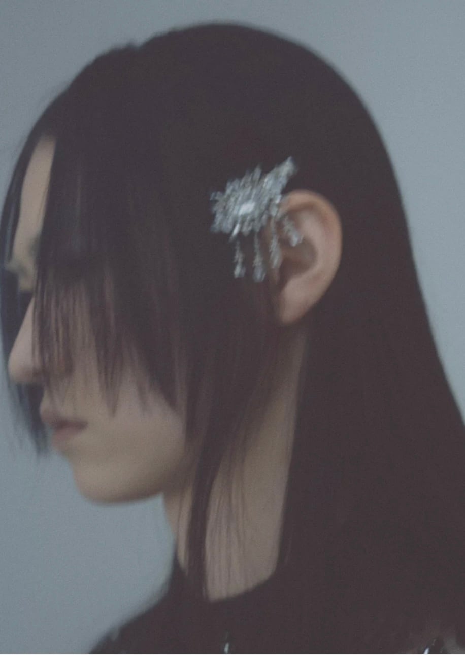 tanaka daisuke cystal hair clip | AAR