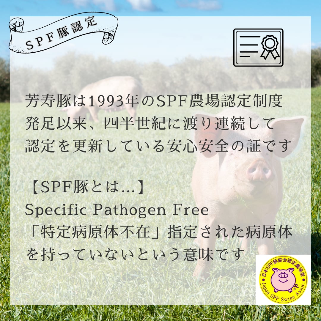 長崎県産SPF芳寿豚 スペアリブカット
