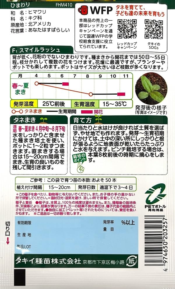 優しいタッチのひまわり68×98 タキイ種苗 徳用 ミニひまわり F1スマイルラッシュ | geisha Cat*
