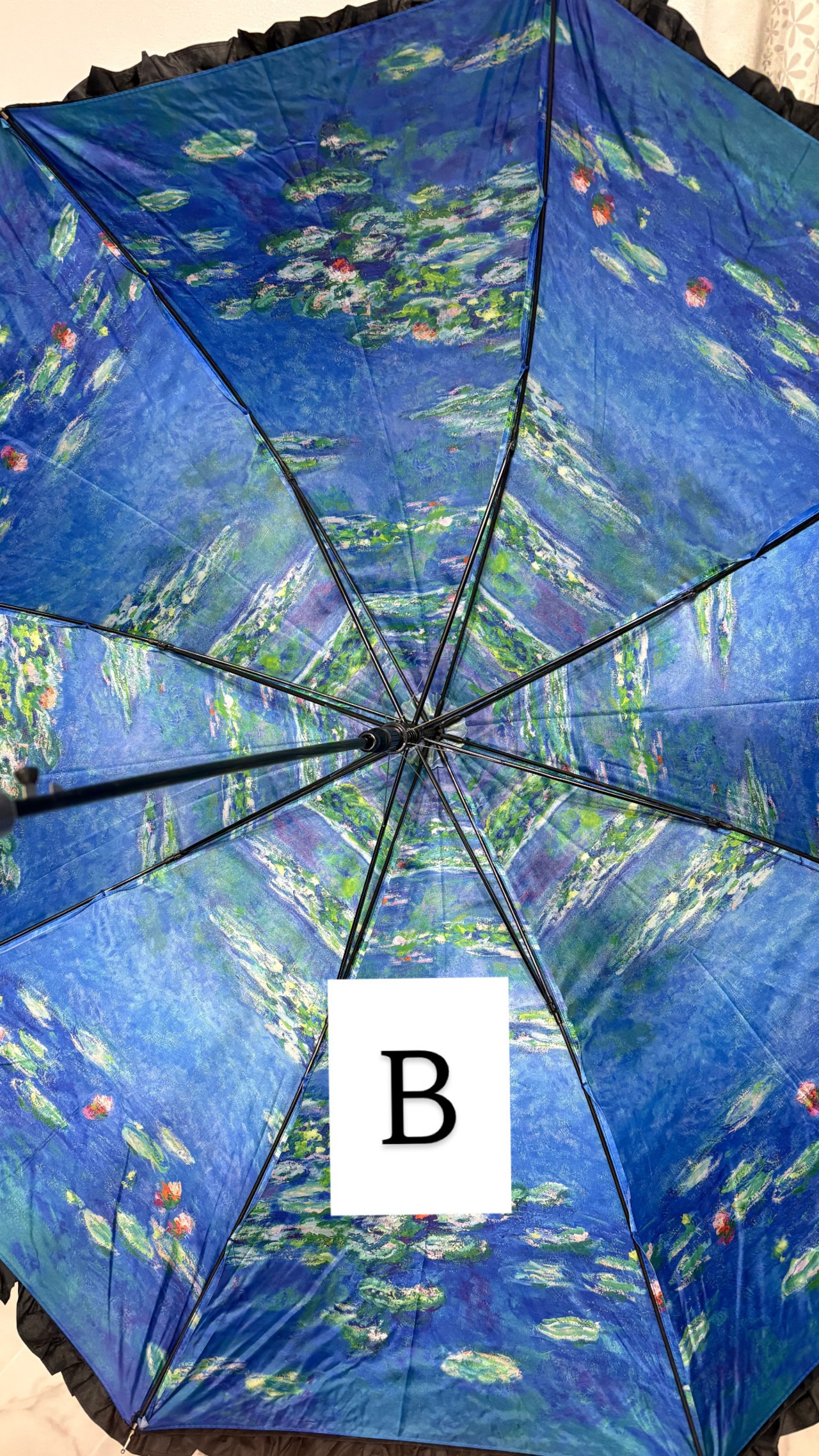 晴雨兼用　アート　傘