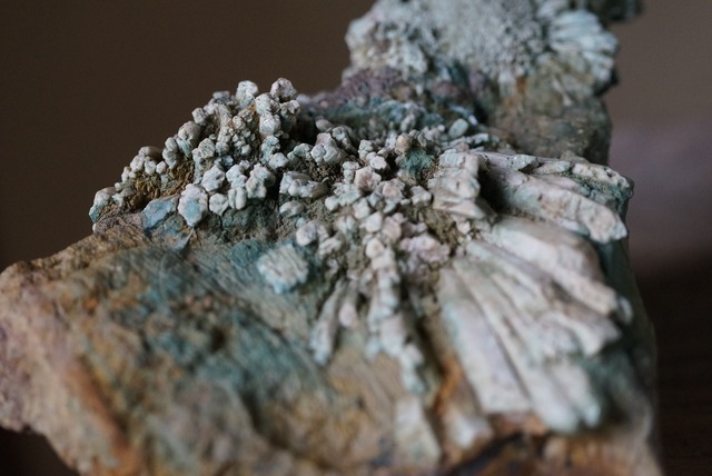 菊花石　Chrysanthemum Stone　A