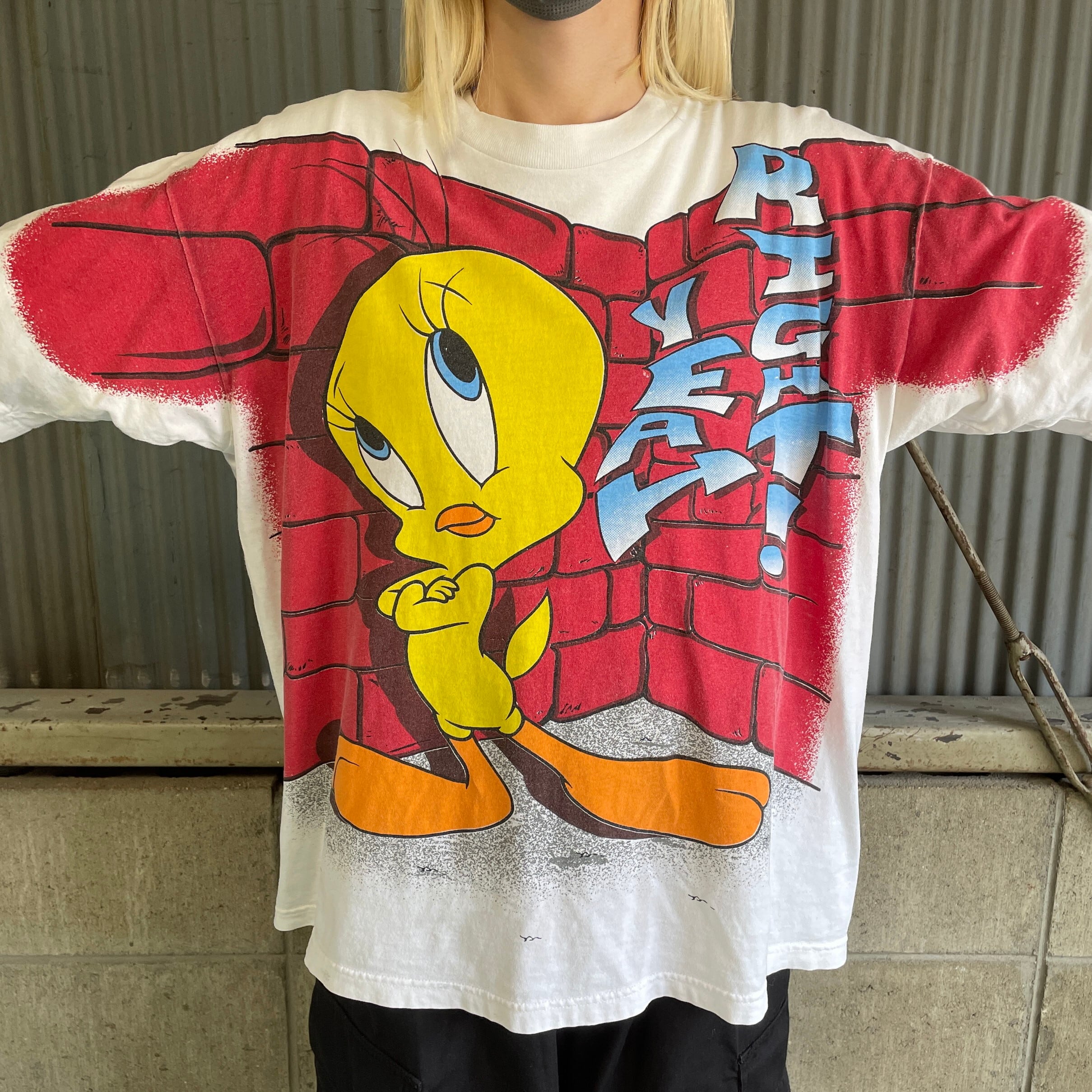 超希少】【レア】1990年 ネブワース フェスティバル Tシャツ ビンテージ-