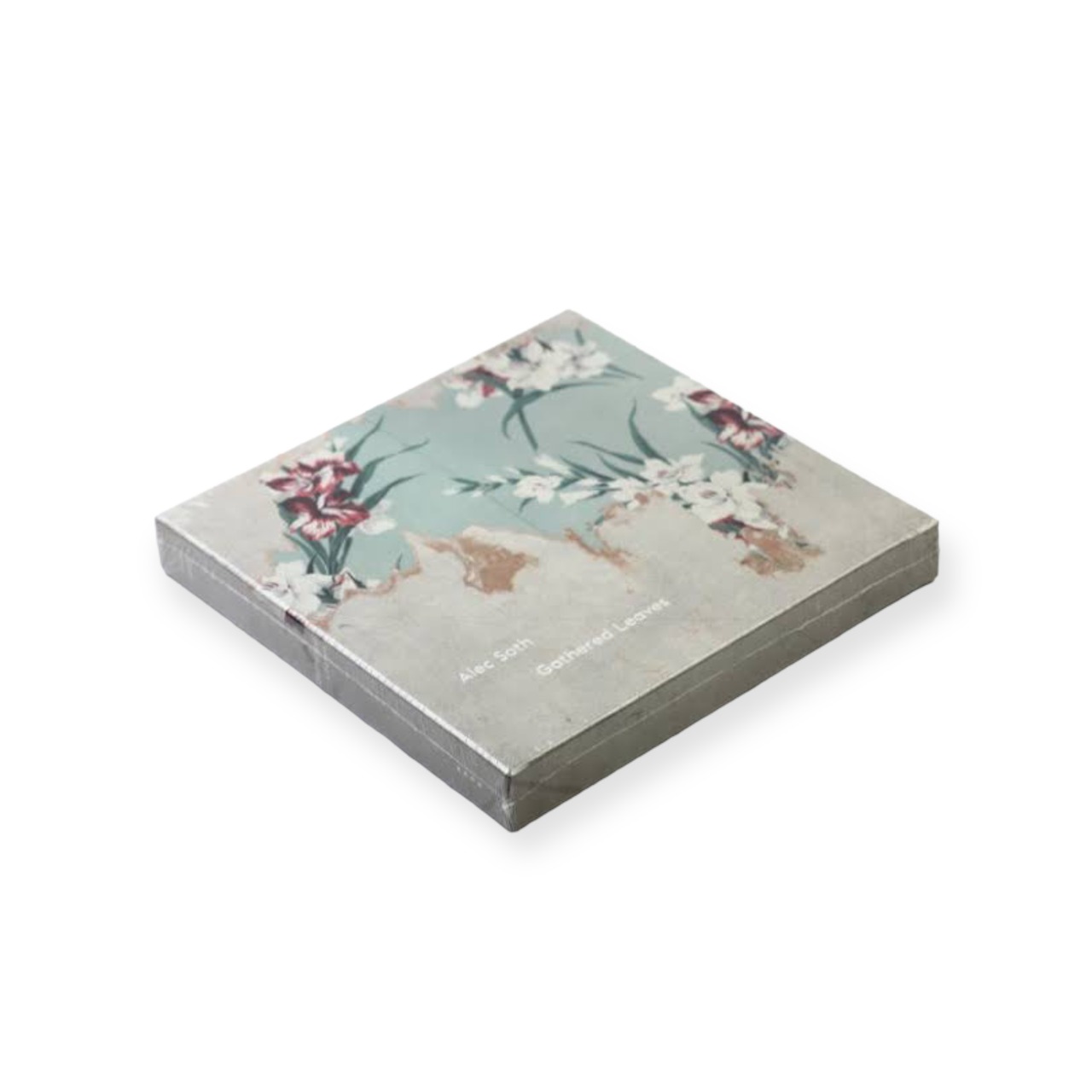 【Alec Soth】GATHERED LEAVES POSTCARDS