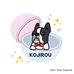 【イラスト】うちの子ガチャ生まれイラスト