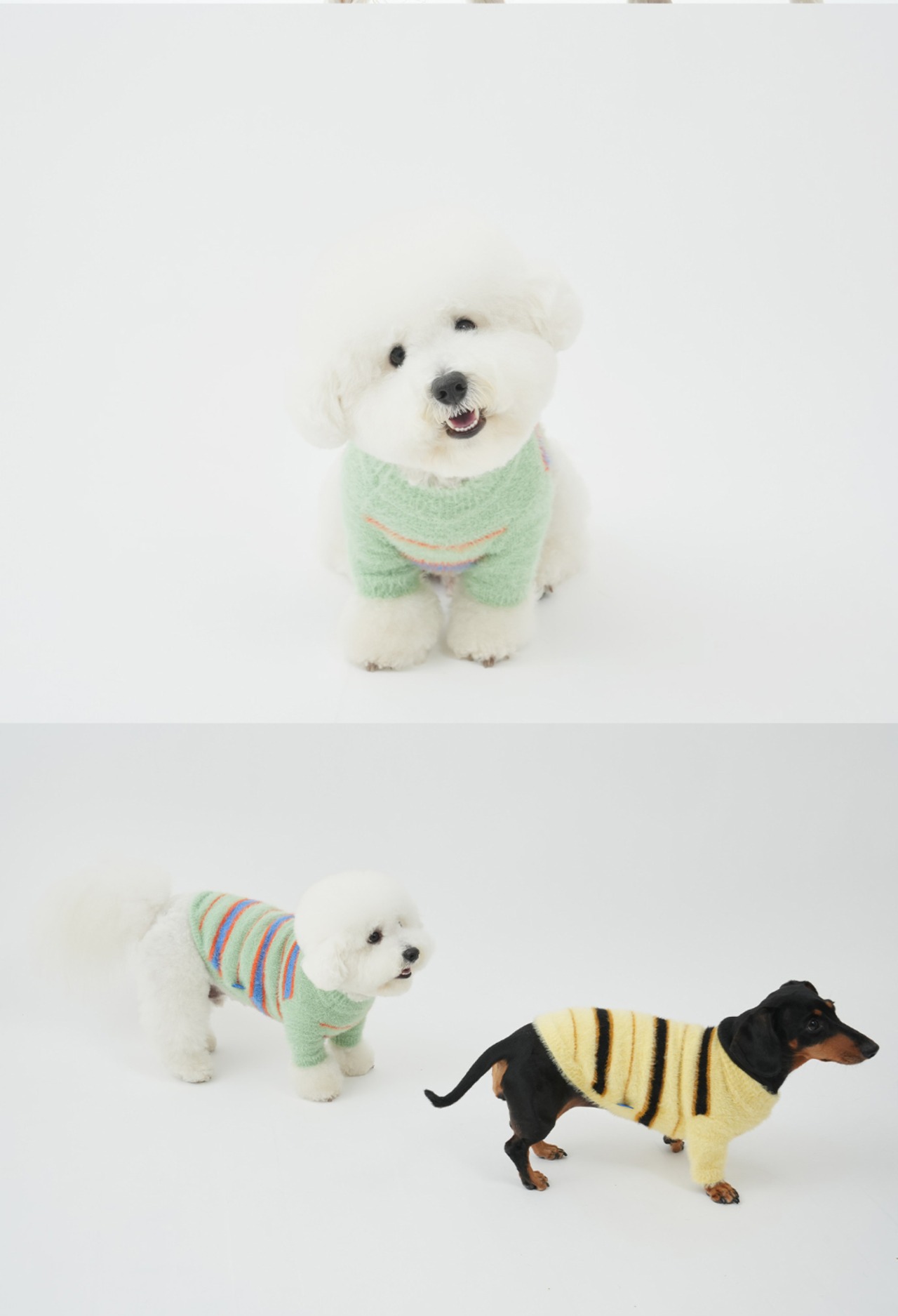 【PUPPYGALLERY公式】ピーターストライプニット【ミント】