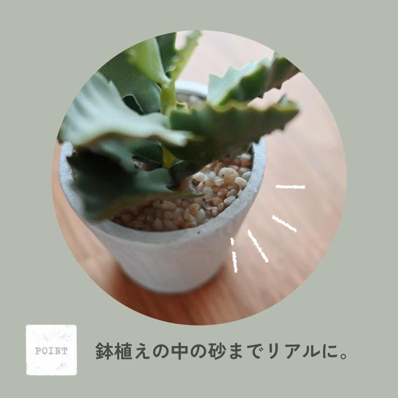 完売 】ミニポット カランコエ｜ミニ鉢植え アンティーク調 フェイク