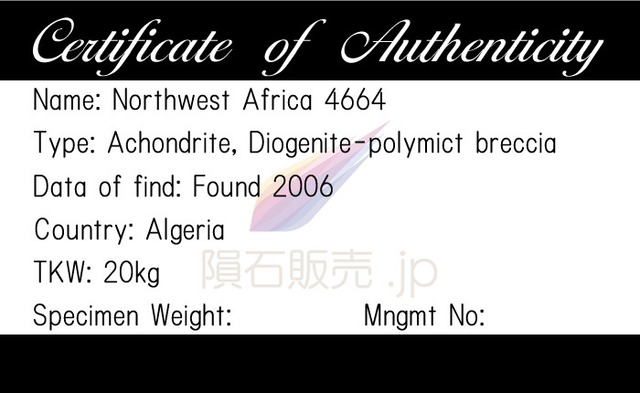 NWA4664 隕石 1.5g ダイオジェナイト エイコンドライト 石質隕石 標本 M2604