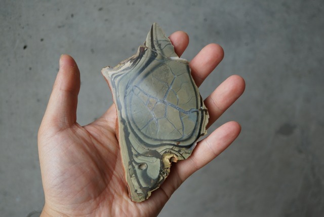 フリント Flint 1296