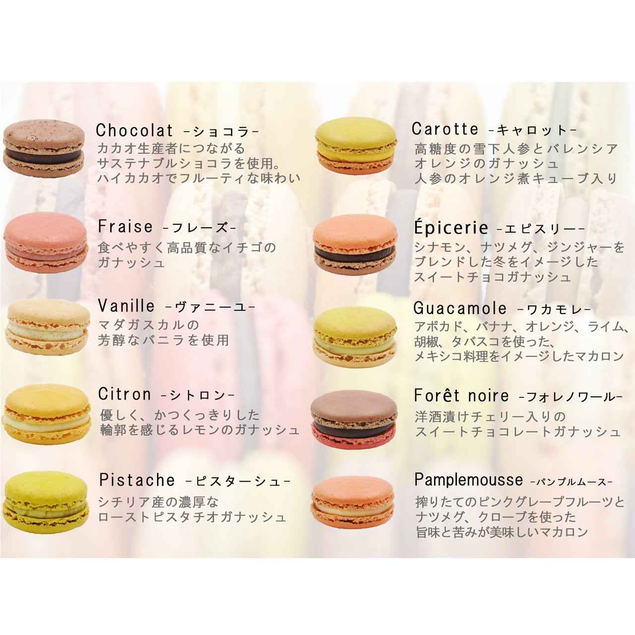 マカロン 限定10個入りセット | アイスケーキや焼き菓子のお取り寄せ