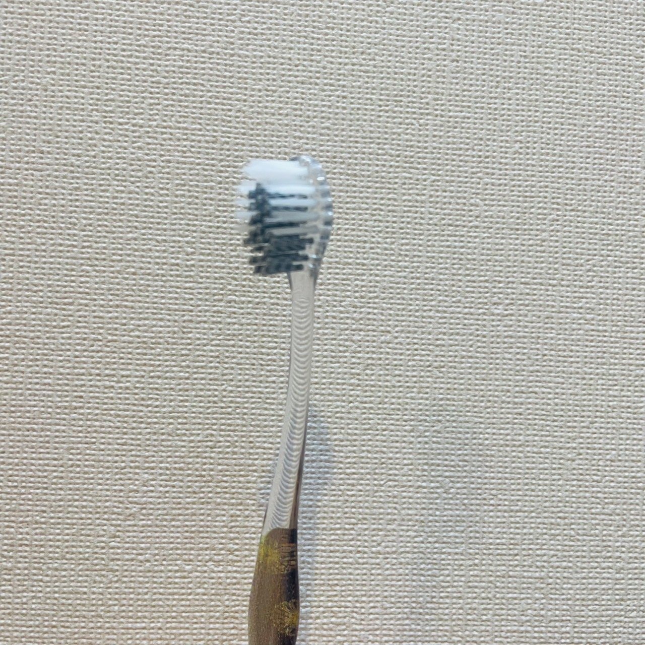 TERA TOOTHBRUSH　（テラヘルツ歯ブラシ）５本セット