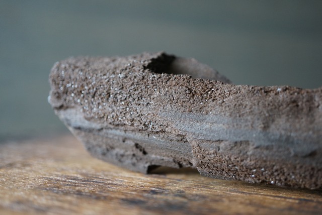 特大ドイツ産ドゥルージーペトリファイドウッド 242mm　Petrified Wood / Quartz　1173