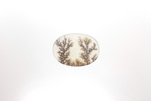 361 dendritic agate | MATERIALS+