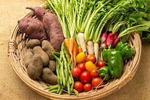 (定期購入）農薬・化学肥料不使用　野菜セット　新月便