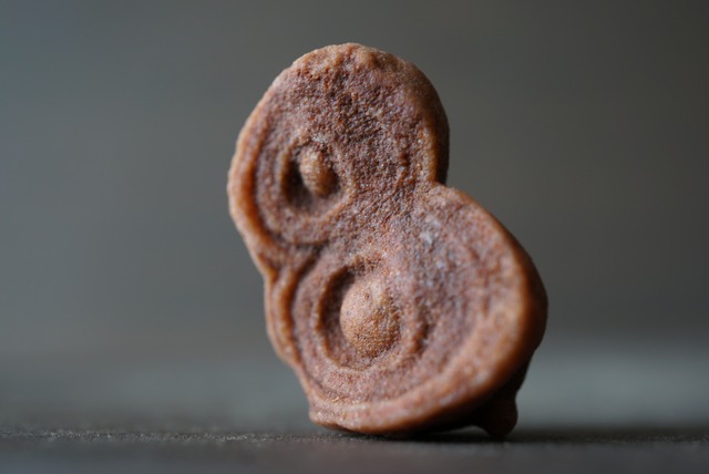 モロッコ産ストロマトライト Stromatolite 1059