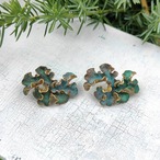 ナミガタウメノキゴケ PINS【C】