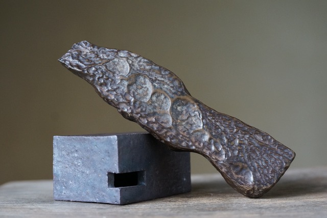 ゴビ砂漠産マッドストーン Gobi Desert Mudstone