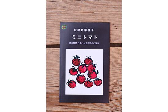 光郷城 畑懐さんの伝統野菜の種