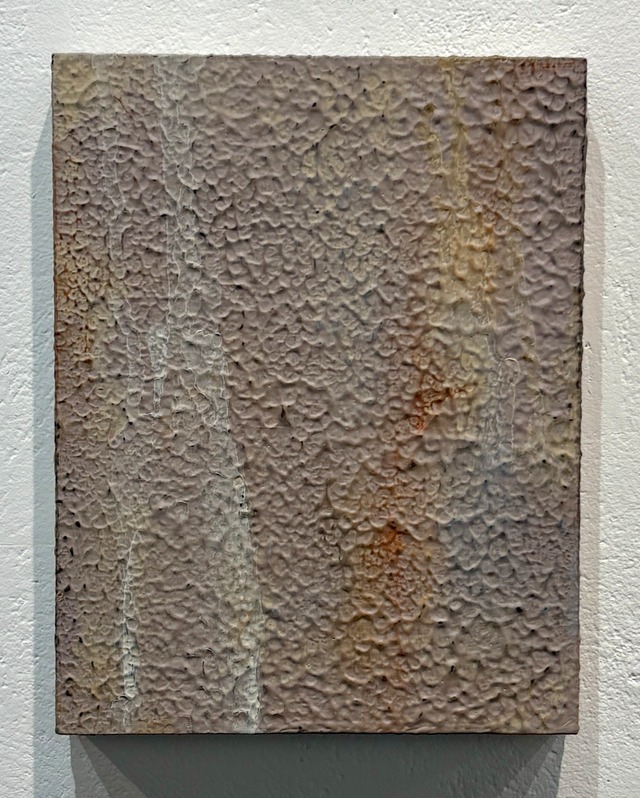 新村葉月　trace 24F0_1