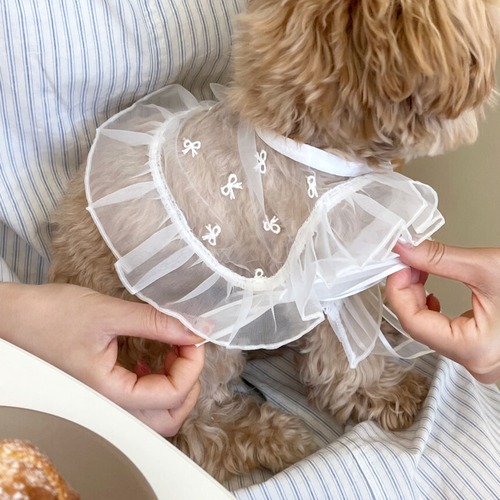 《予約》PP0073  リボンレースシースルーポンチョ