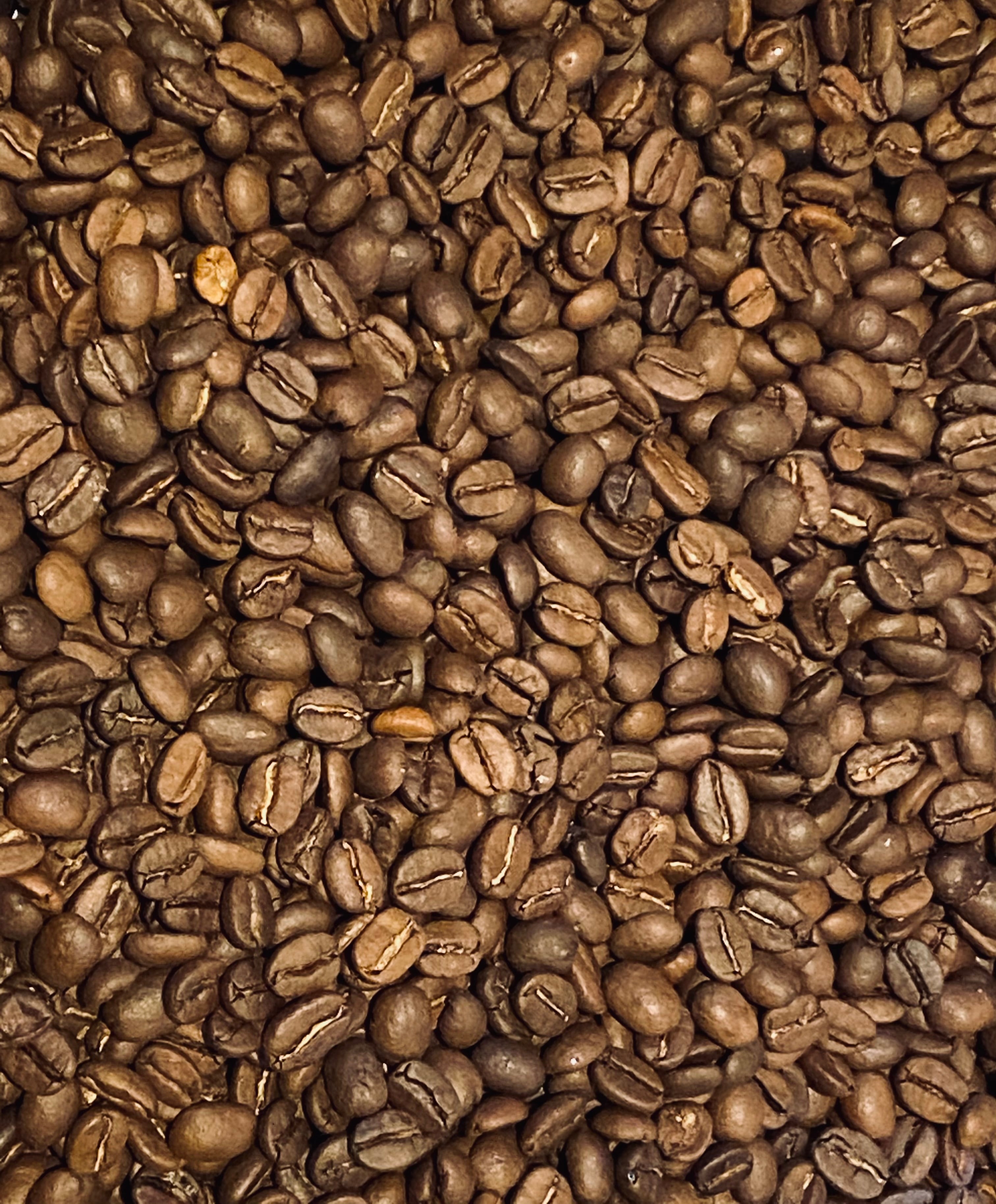 エチオピア シダモ 250g | マウンテンコーヒー葛飾