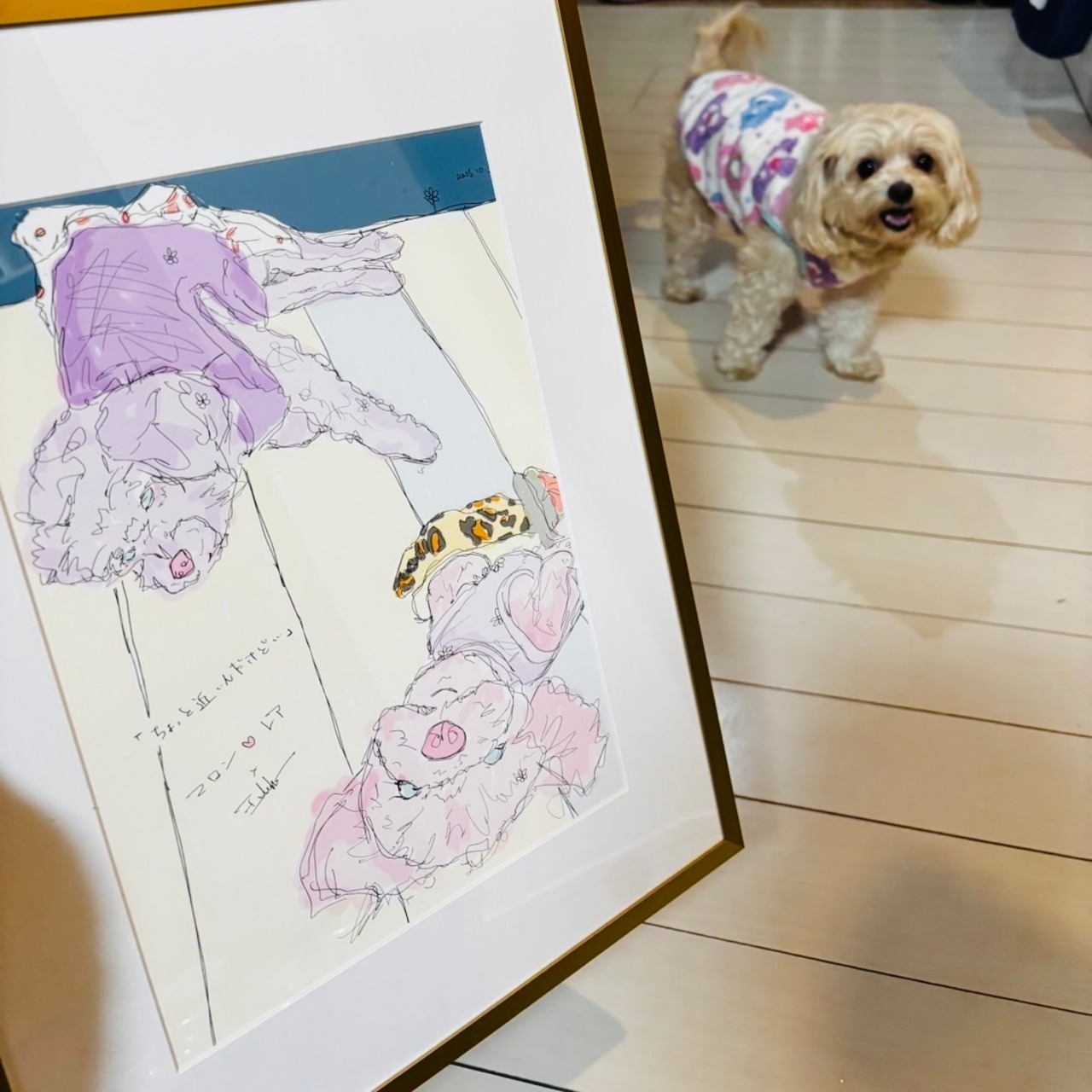 いろのかけら×ただいま「ちょっと近いんだけど」マロン♡レア