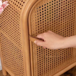 ラタン キャビネット コンパクト チェスト 扉付き