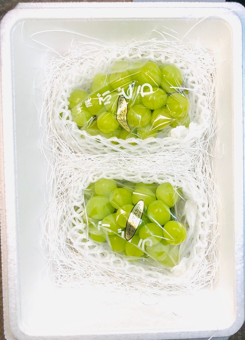 シャインマスカット 約1.2kg