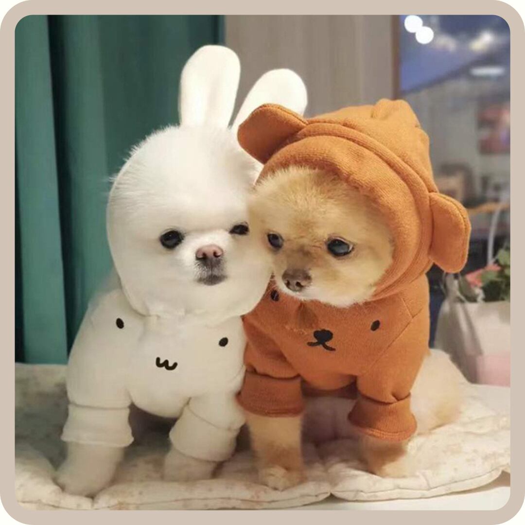 MEANINGLESS 犬服　耳フード付き　フリースコート Lサイズ　2点セット MEANINGLESS セット 犬服 耳フード付き フリースコート Lサイズ GUNZE