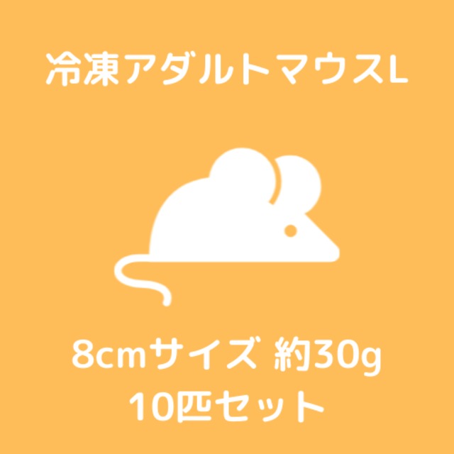 【冷凍マウス】アダルトマウスL  8cm 約30g 10匹
