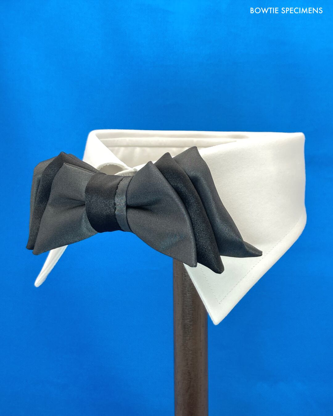 スタンダード オブリークエンド グレー ブラック 作り結び型 蝶ネクタイ 色 グレー 形 斜め 蝶ネクタイ ブランド Bowtie Specimens
