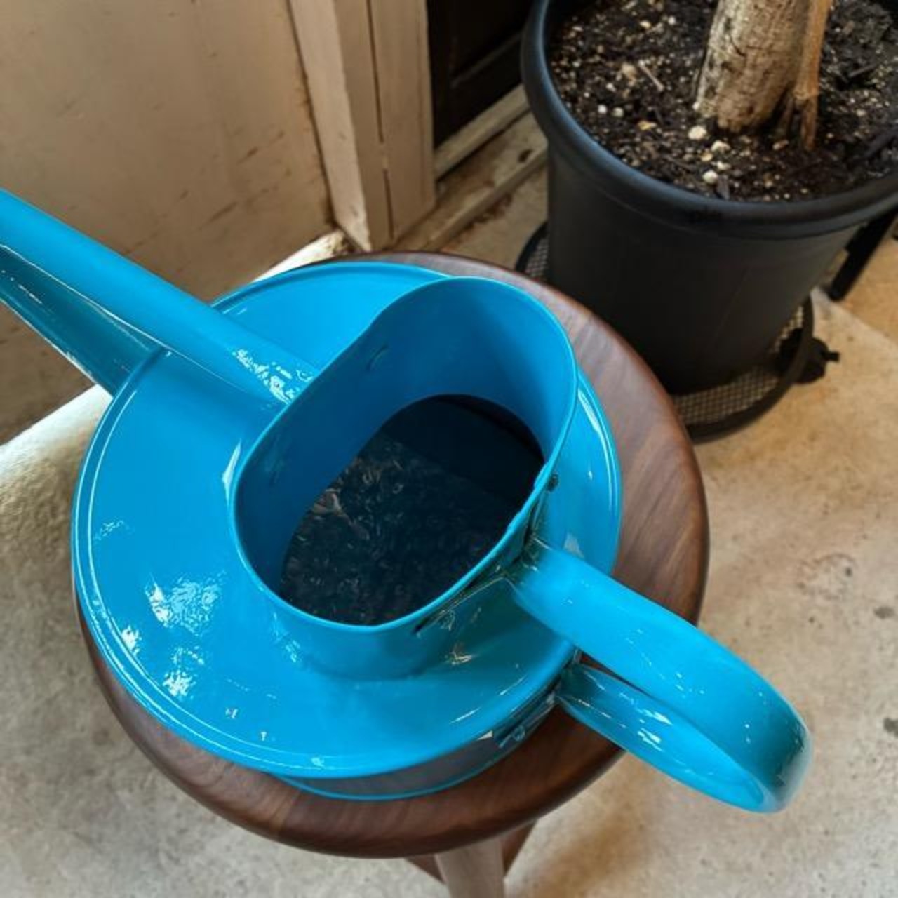 Earth Color Watering Can　Blue