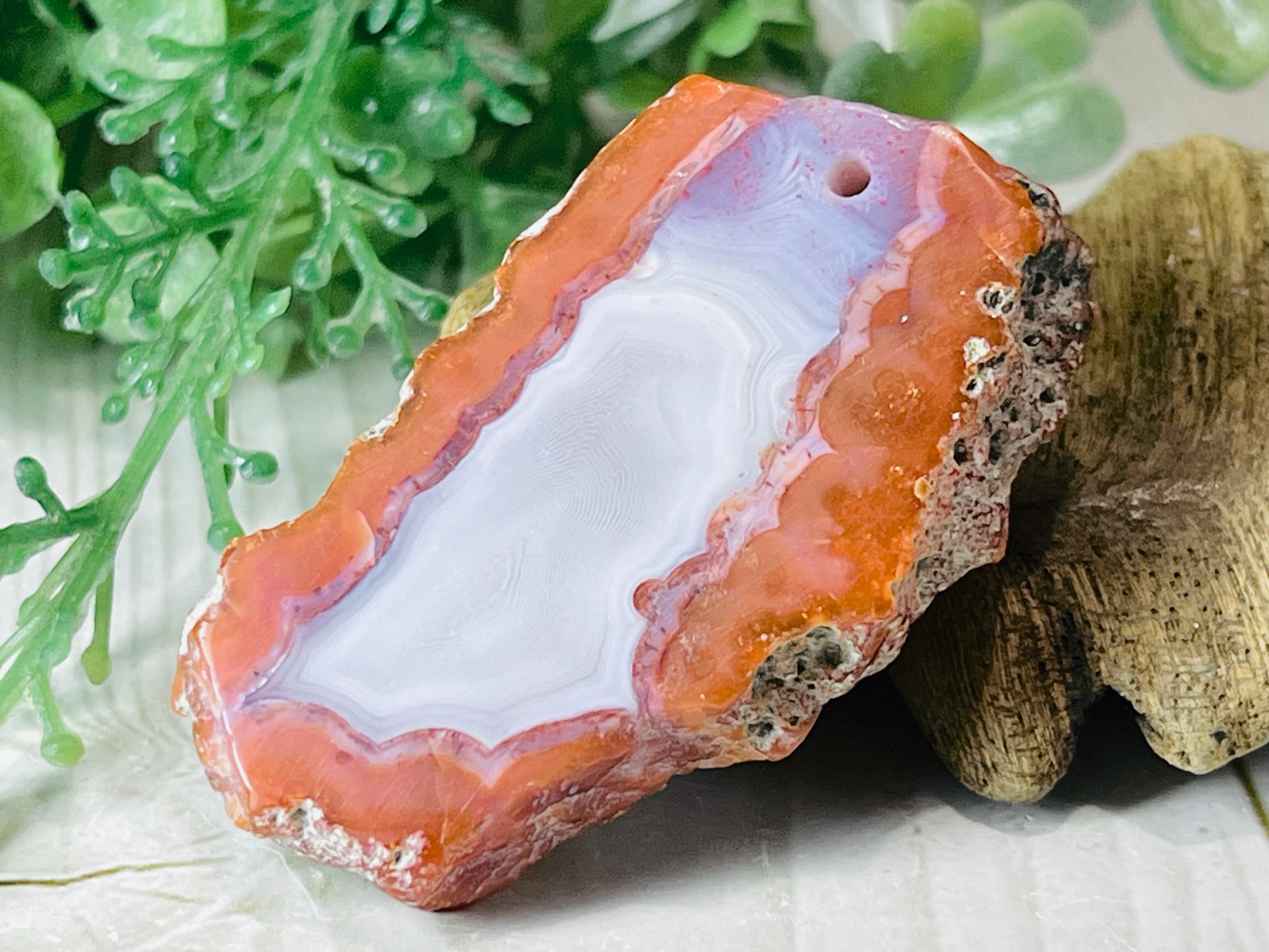 tamago瑪瑙スライス　生命の木　8-162 tamago瑪瑙スライス 生命の木 8-162 tamago瑪瑙スライス 生命の木 8-162