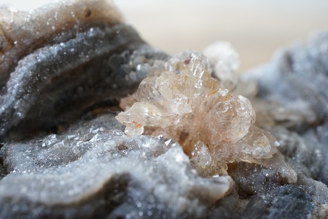 コンシャ・アゲート Concha Agate 706