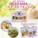 【期間限定数】OKAYAMAもも•ぶどうセット＋ドライフルーツ蜂蜜漬けセット【無添加•岡山県産】清水白桃/シャインマスカット（ドライフルーツ王様のおやつ）