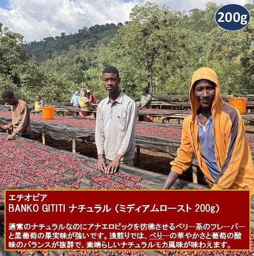 エチオピア BANKO GOTITI ナチュラル（ミディアムロースト 200g）