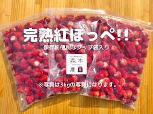 【送料込】冷凍紅ほっぺ3kg ☆ 朝どれ完熟いちご