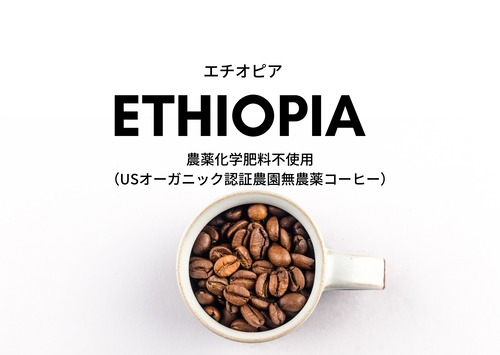 エチオピア　アフリカコーヒー　