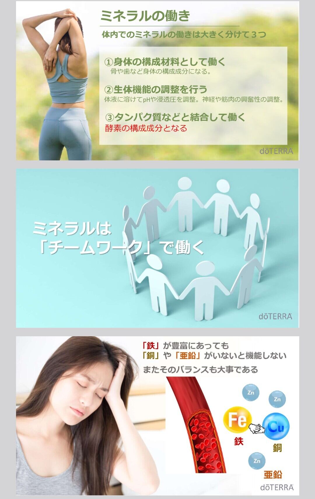 doTERRA PHOSSIL ミネラル ピンクパイン ドテラ | Pay ID doTERRA PHOSSIL ミネラル ピンクパイン ドテラ | Pay ID
