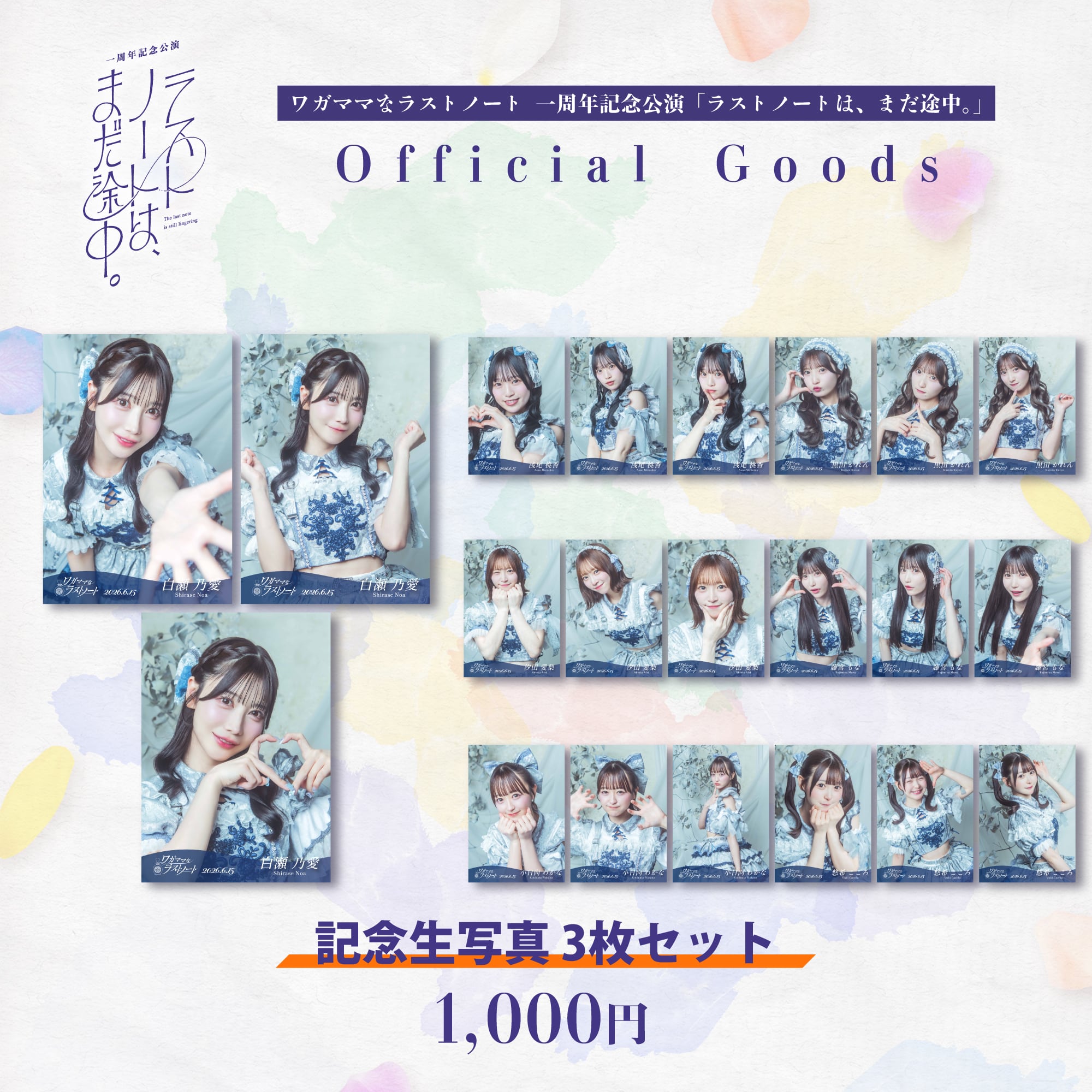 チョンヘイン L版 写真 10枚セット 韓流 グッズ av047-9 | PAY ID