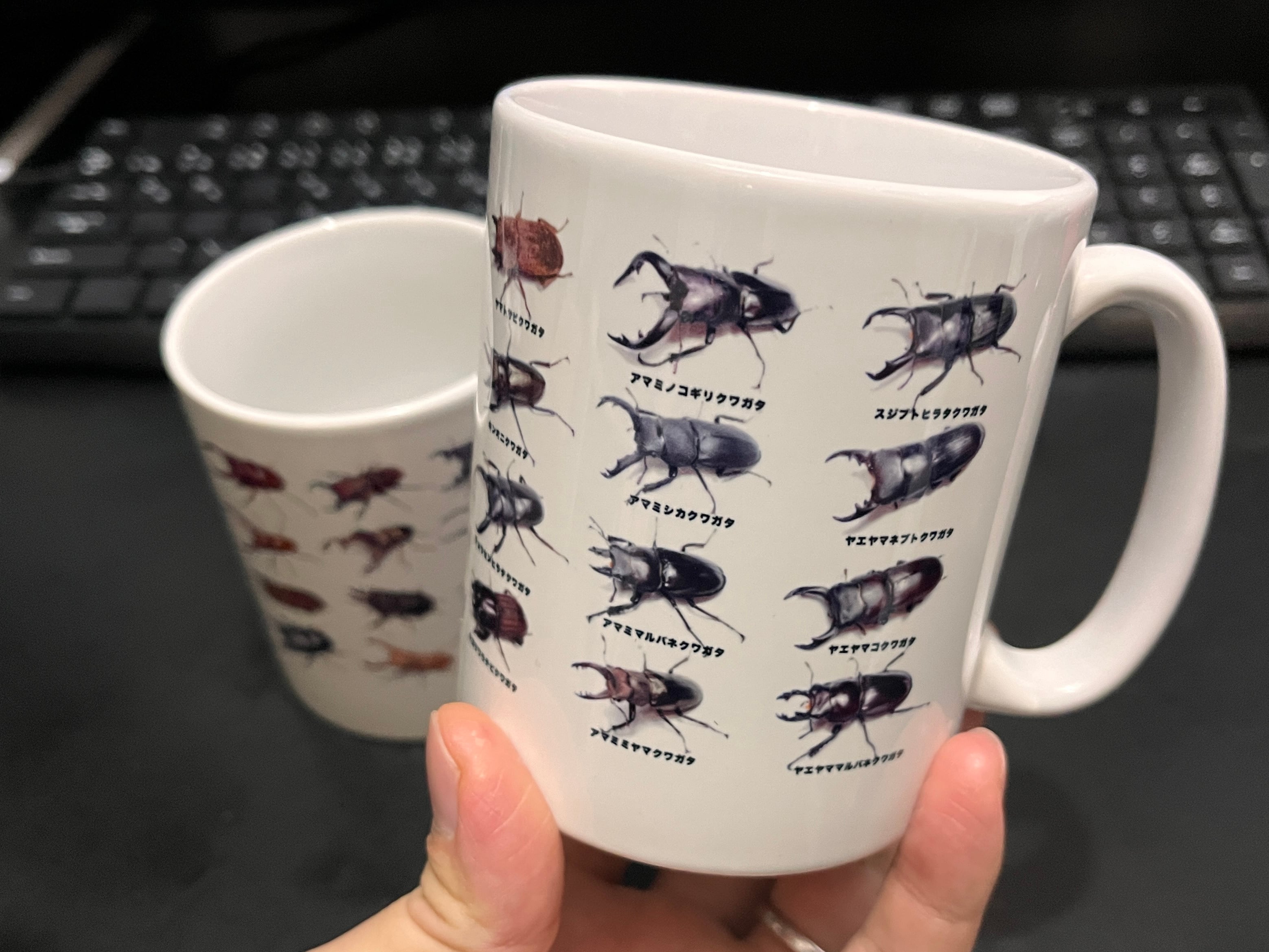 日本産クワガタ マグカップ | watakuwa shop