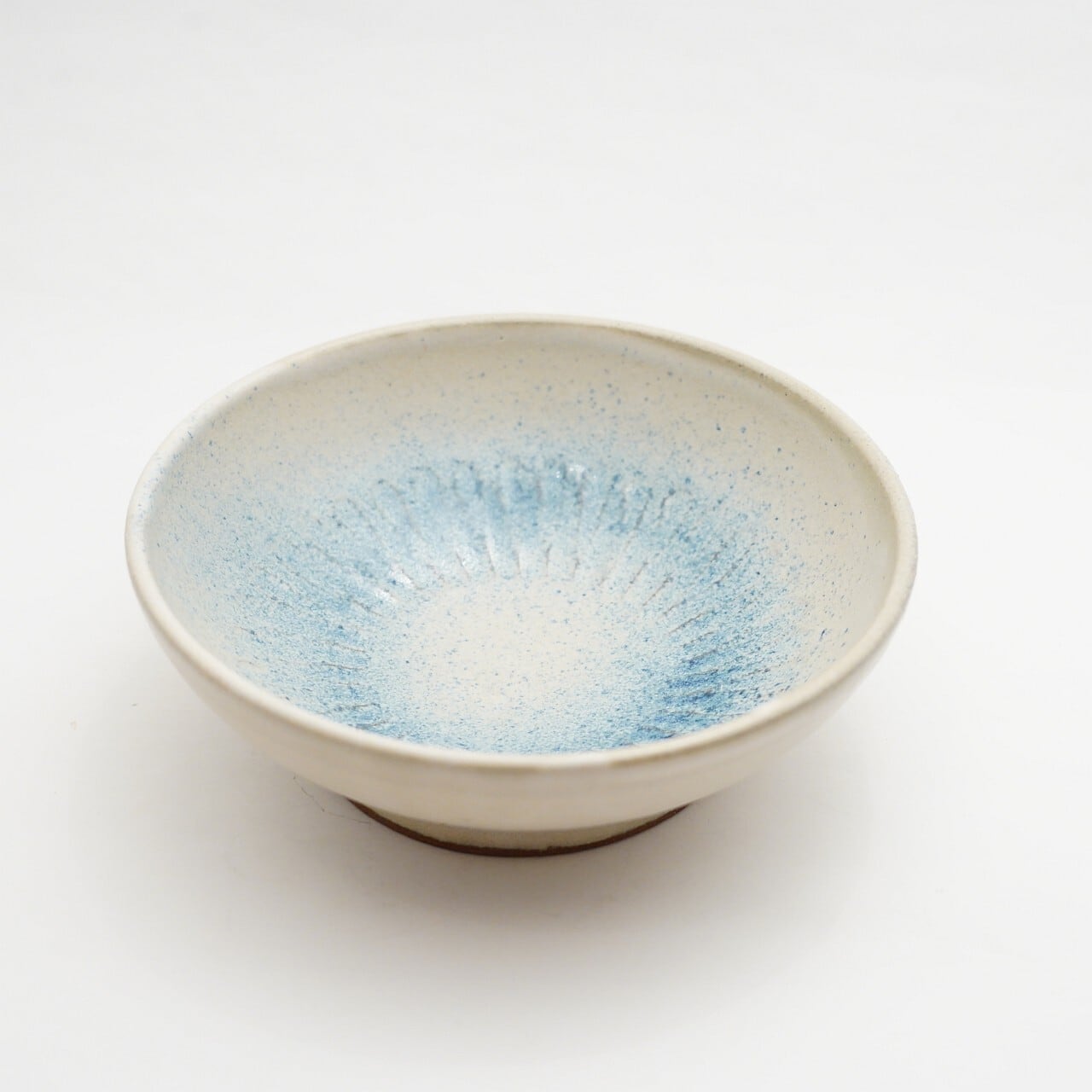 赤膚焼 大塩ほさな】奈良絵五寸皿 | ろにせら ギャラリーと雑貨のお店