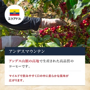 【レギュラーコーヒーセット ARC-30 】ブレンド&スペシャリティ100g×3点 青海珈琲 ギフト