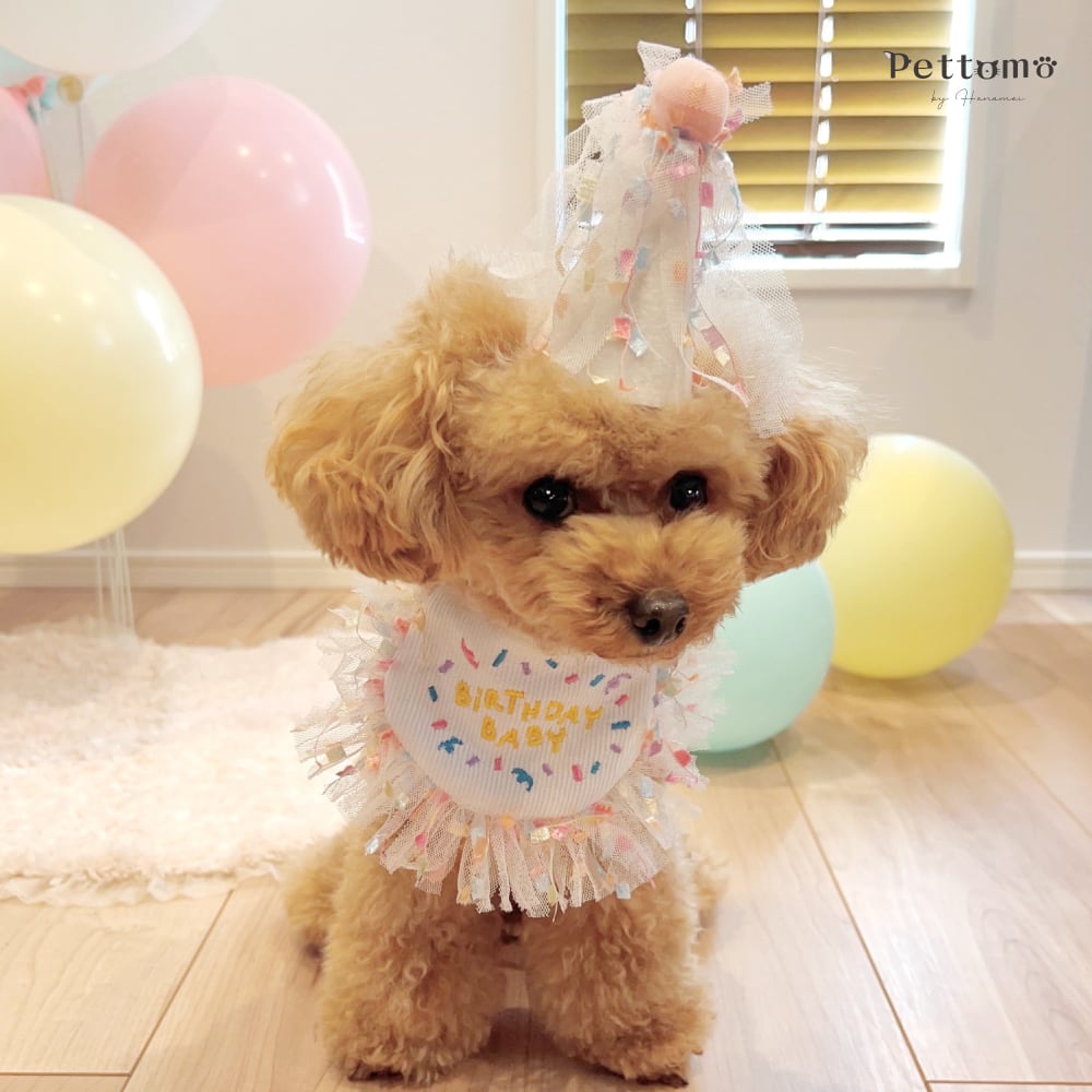 犬猫小動物用 リバーシブルスタイ バンダナ ハンドメイド うさぎ