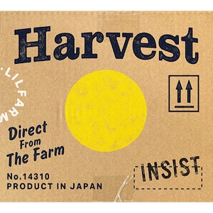 〈残り1点〉【CD】韻シスト - Harvest