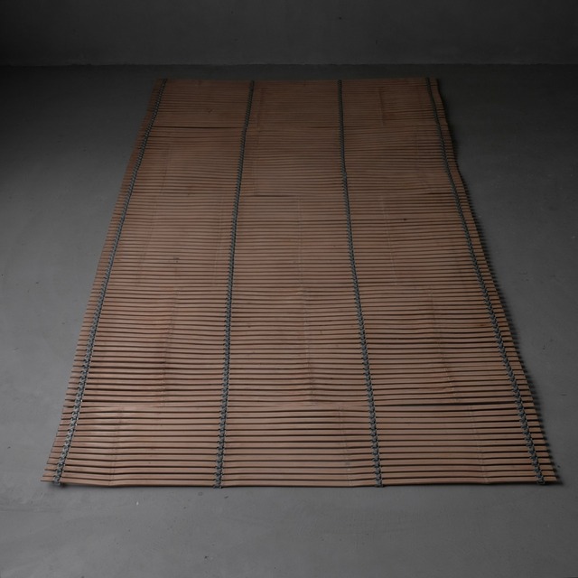 Blind or Rug
